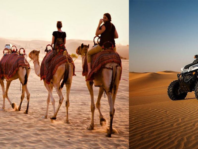 Evening Desert Safari Abu Dhabi