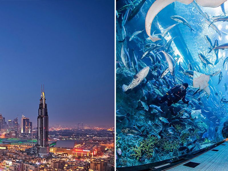 Burj Khalifa and Dubai Aquarium Combo