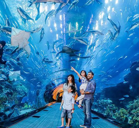 Dubai Aquarium & Underwater Zoo Tickets