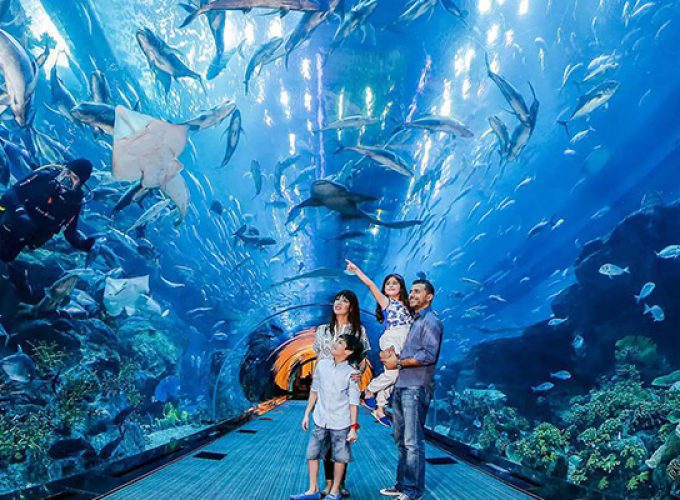 Dubai Aquarium & Underwater Zoo Tickets