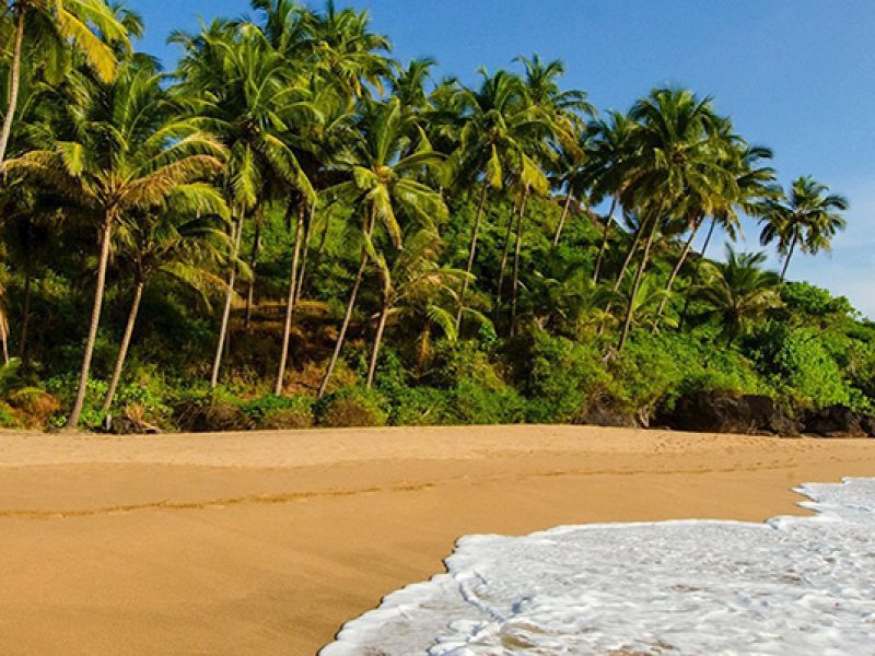 Dudhsagar Falls and Spice Plantation Tour Ex Goa