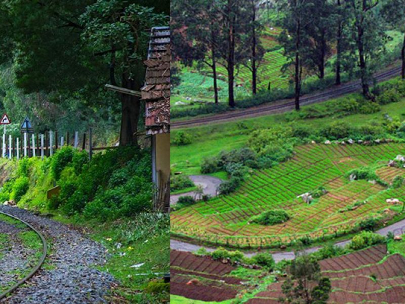 Ooty Kodaikanal Tour Package from Coimbatore