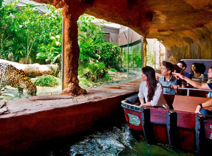 Singapore Night Safari Tickets with Tram Ride