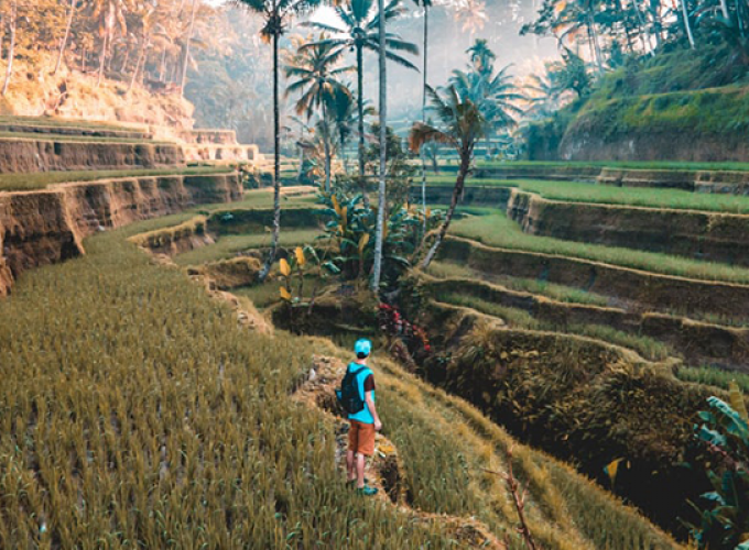 Backpacking Trip to Bali