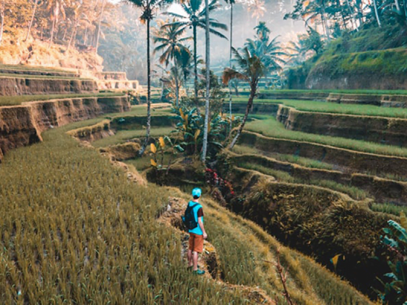 Backpacking Trip to Bali