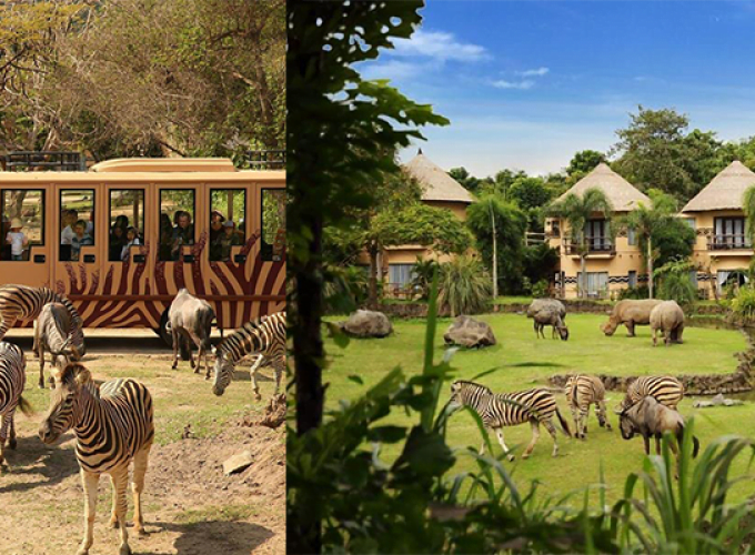 Bali Safari and Marine Park Tickets