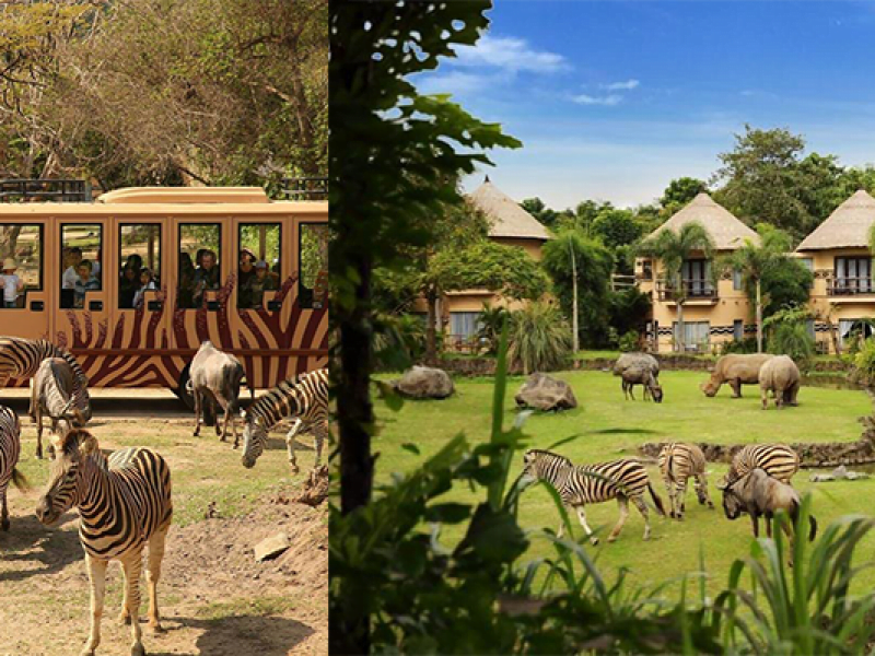 Bali Safari and Marine Park Tickets