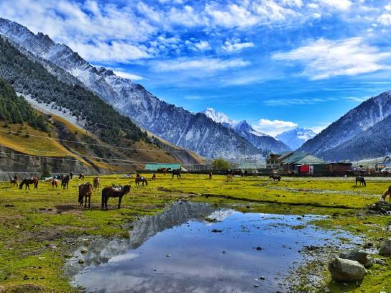 Places to visit in Pahalgam